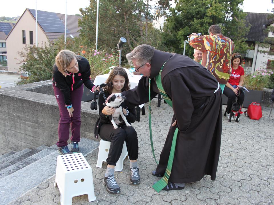 Pastoralraumandacht mit Tiersegnung