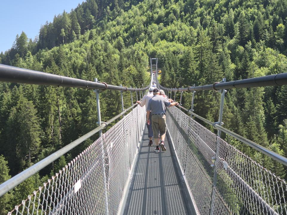 Hängebrücke auf dem Mostelberg
