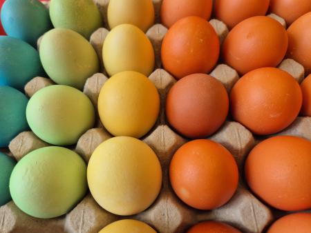 Ostereierfärben 2025