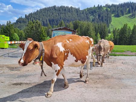 Ökum. Seniorenausflug 2024