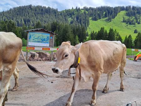 Ökum. Seniorenausflug 2024